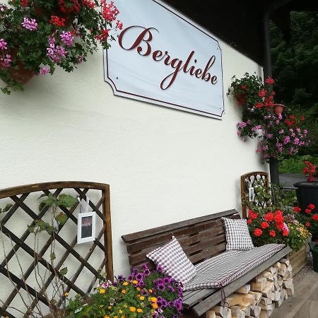 Haus Bergliebe Hotel Filzmoos Exterior foto
