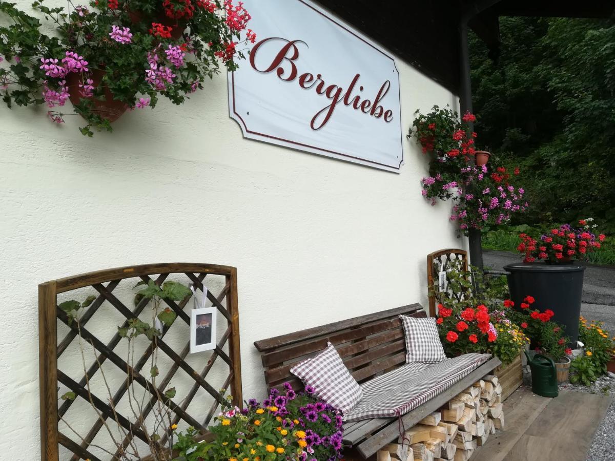 Haus Bergliebe Hotel Filzmoos Exterior foto
